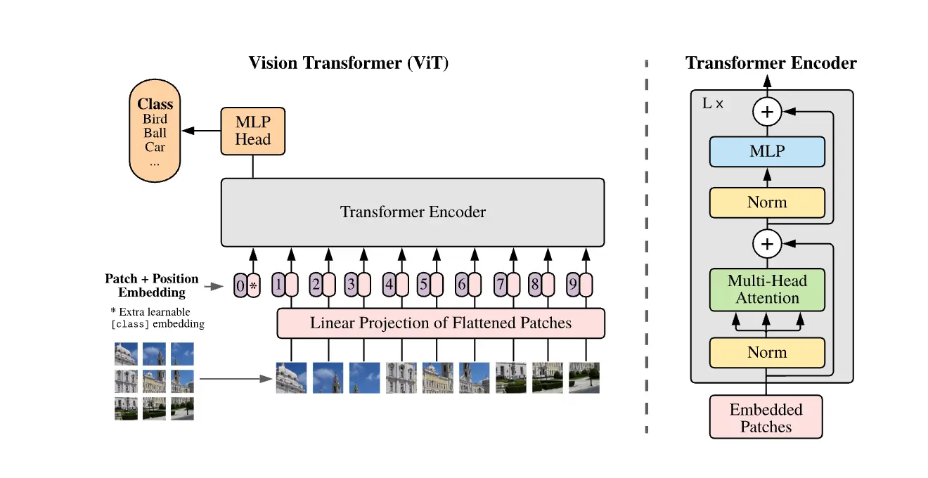 Vision Transformer 图像分块与编码器架构